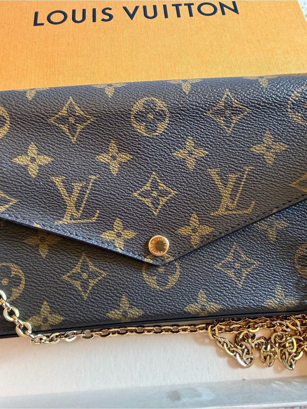 Louis Vuitton Pochette Félicie Monogram Crossbody Bag - Picture 6 of 17